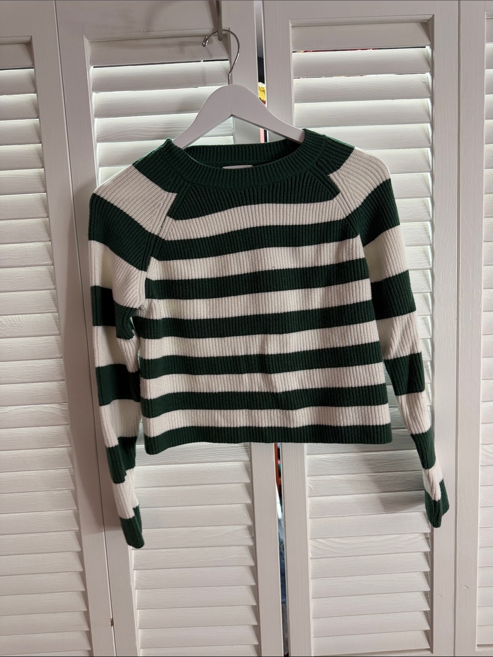 Striped Crewneck Sweater in Green and White